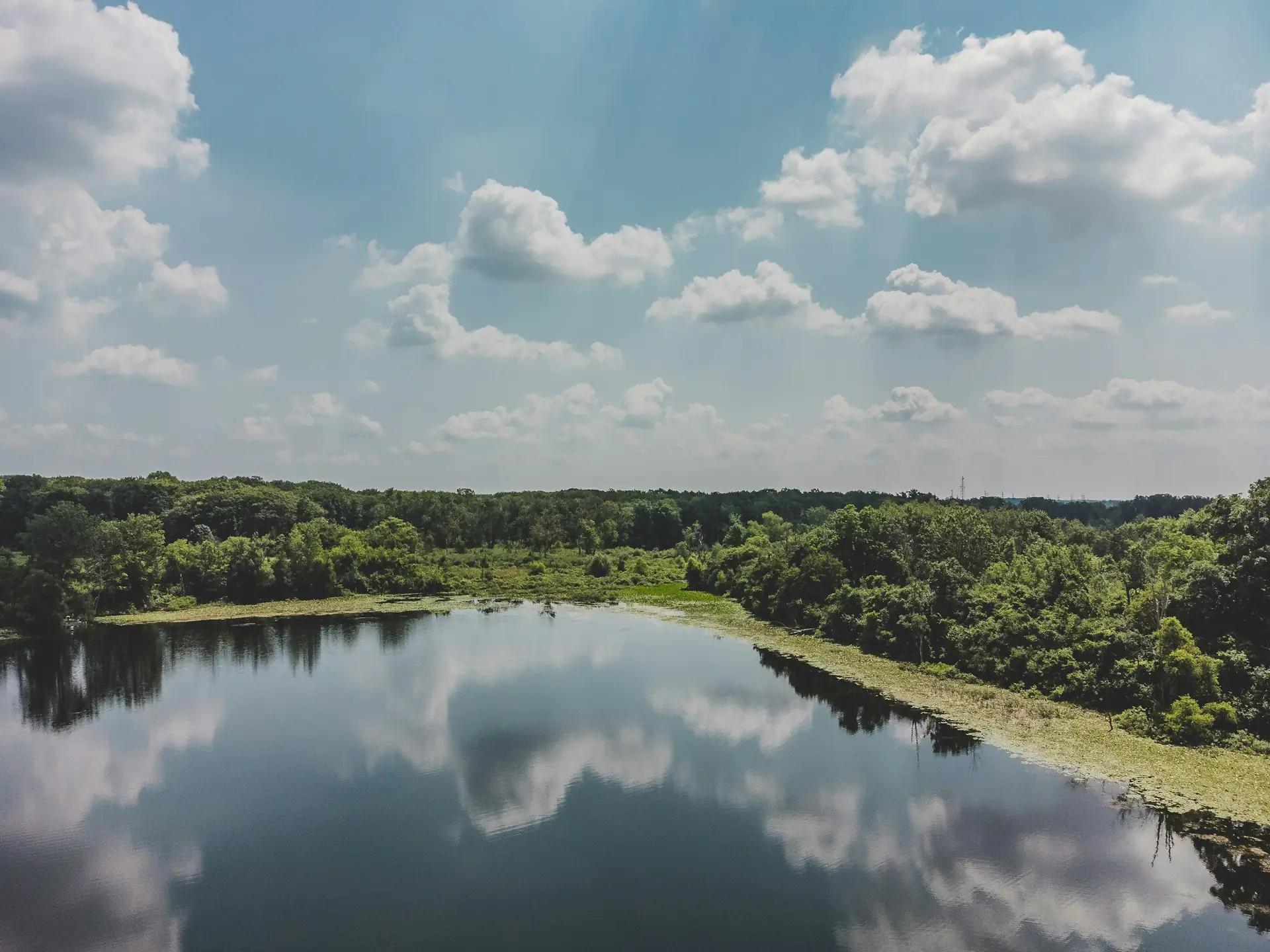 Westminster Ponds on a summer day, wooded shores reflected in still water
