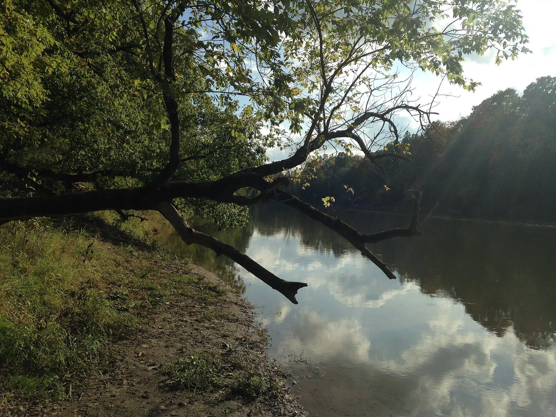 The Thames River near Komoka, with wooded banks on a summer day