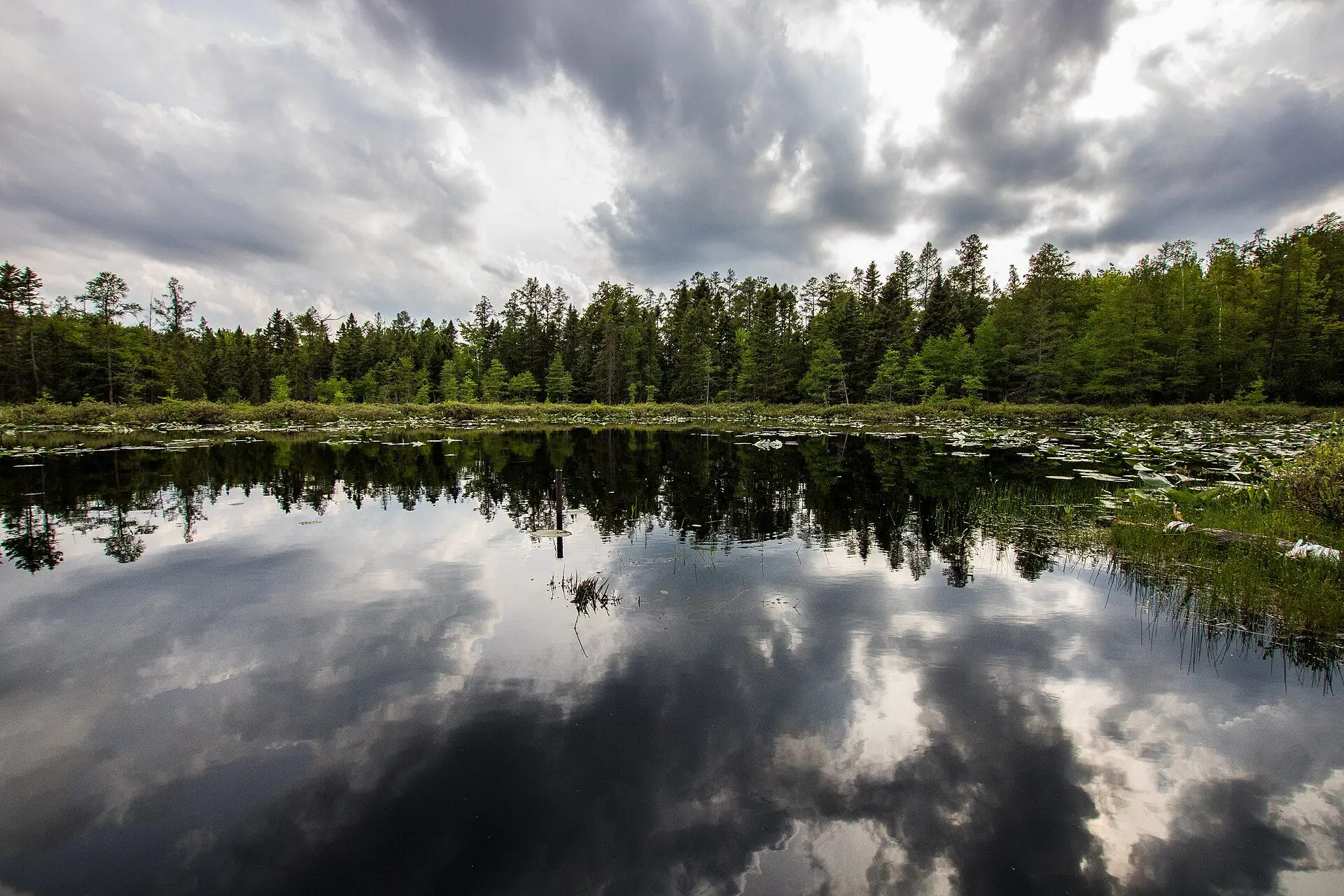Autumn trees reflected in the still water of the Komoka ponds