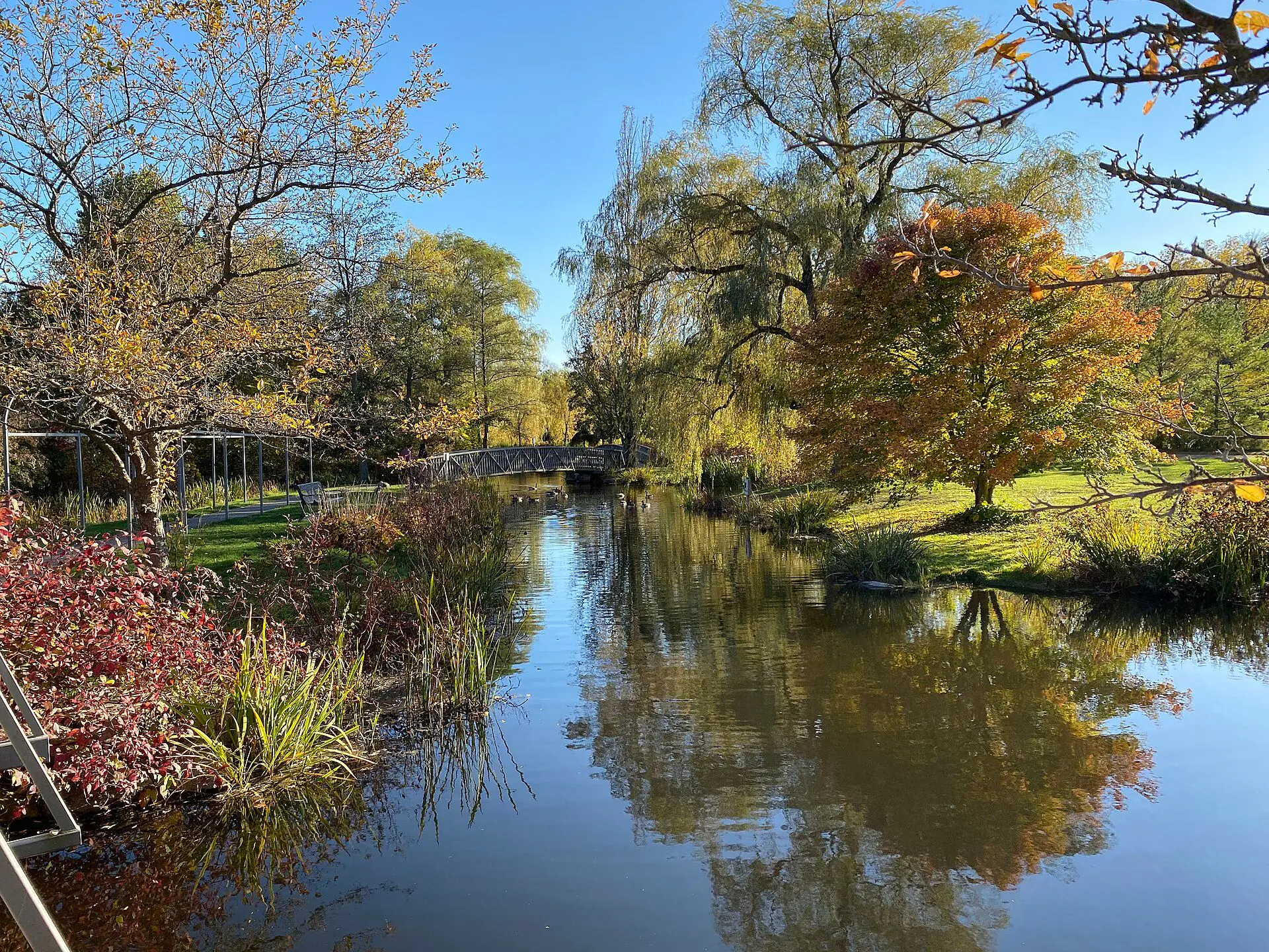 Willows and autumn colour around the pond in Waterworks Park, St. Thomas