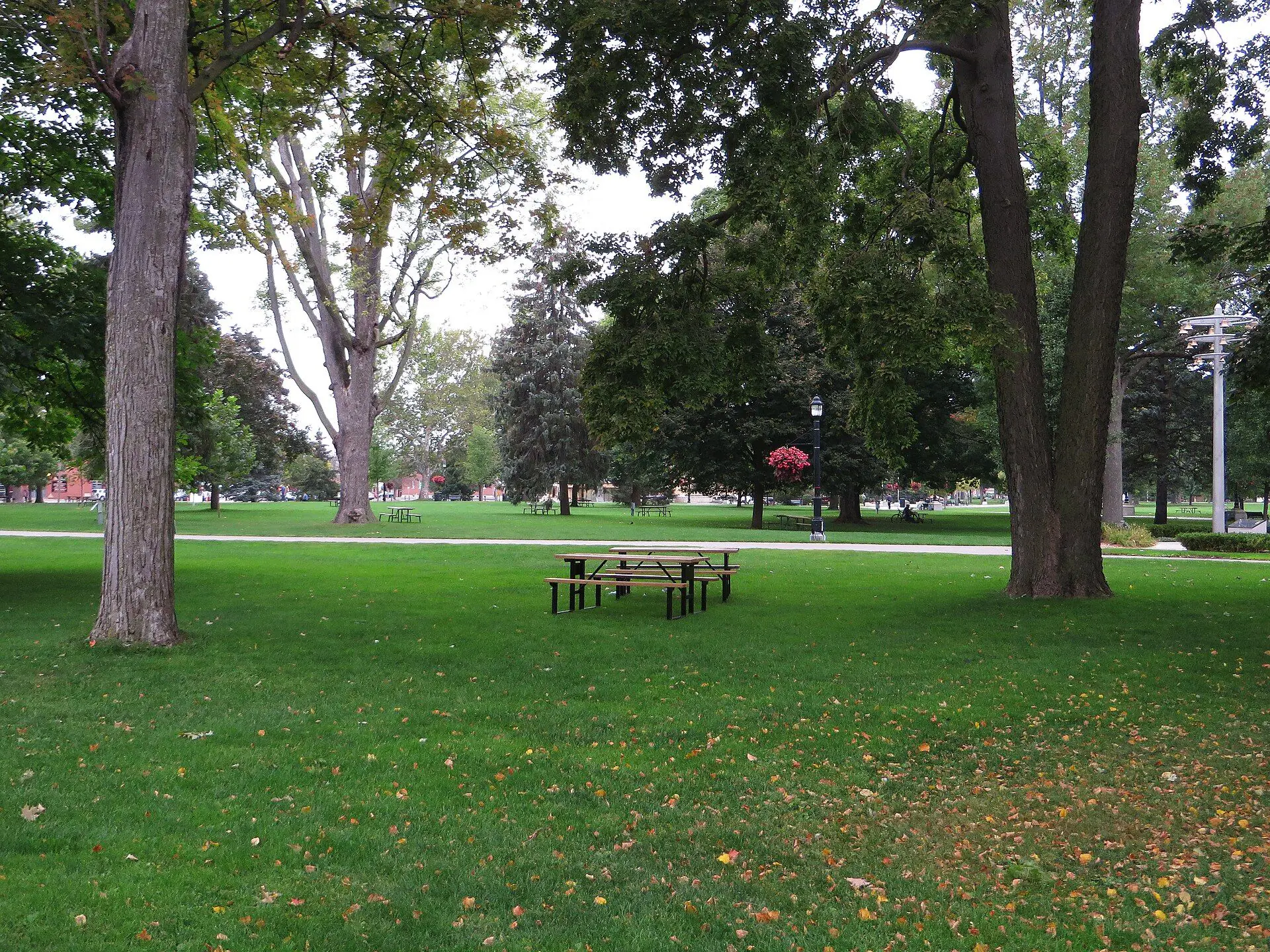 Picnic tables under the old trees of Victoria Park in downtown London