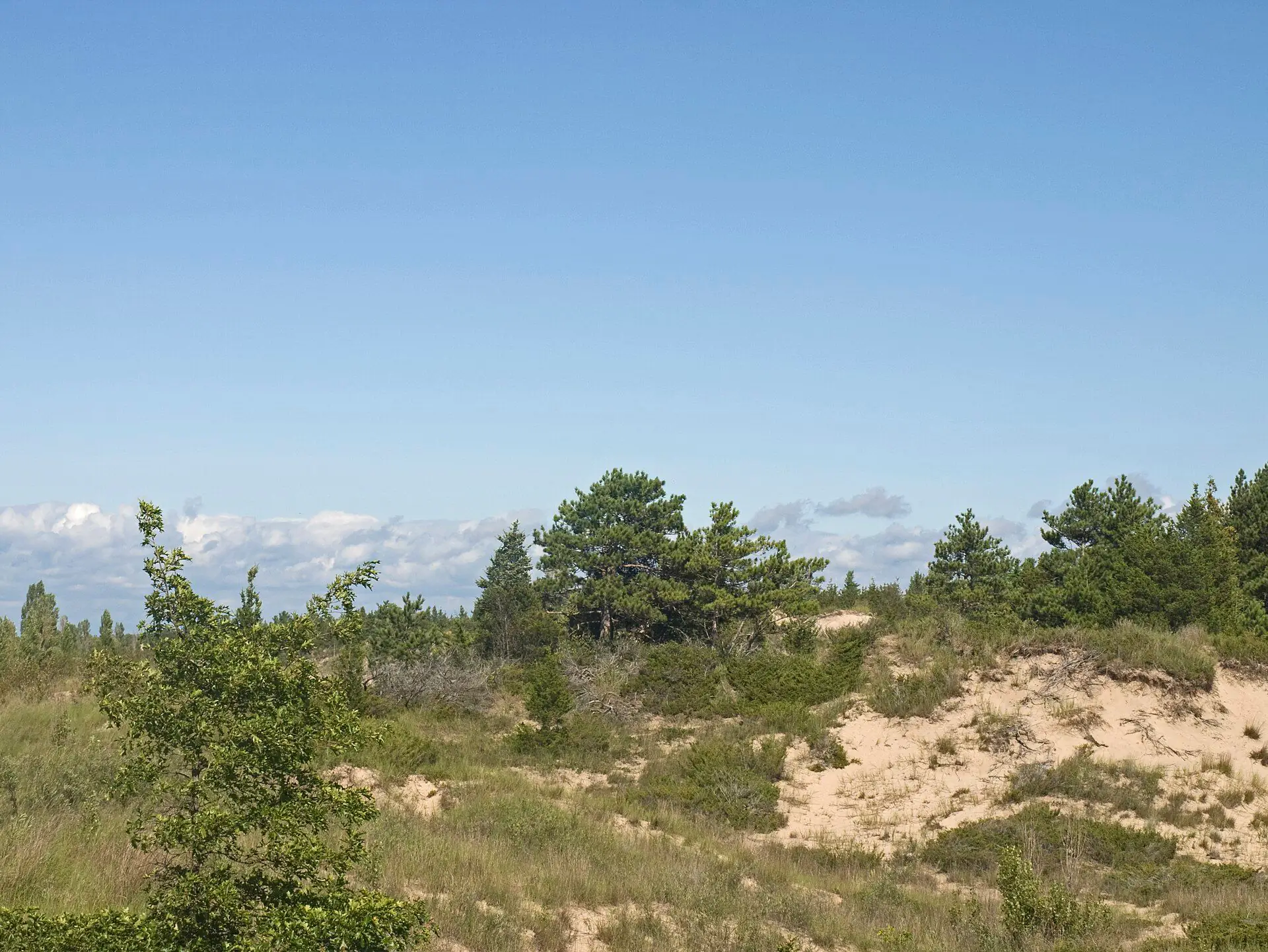 Dunes and beach at Pinery Provincial Park on Lake Huron