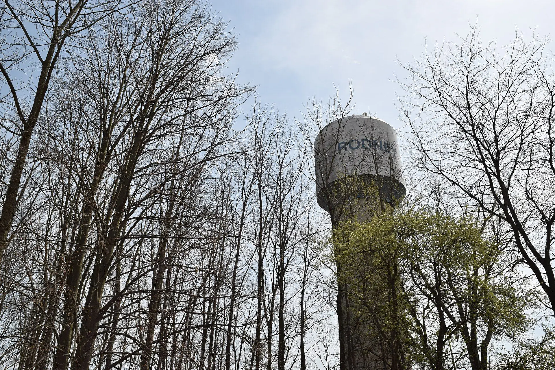 The Rodney water tower rising above spring woodland