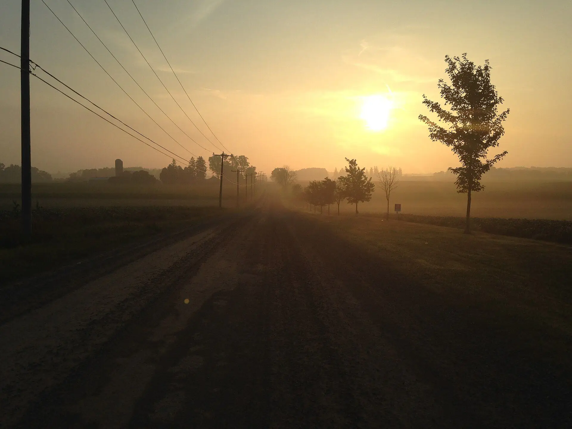 A gravel concession road at sunrise between farm fields in rural Thames Centre, the township that includes Thorndale