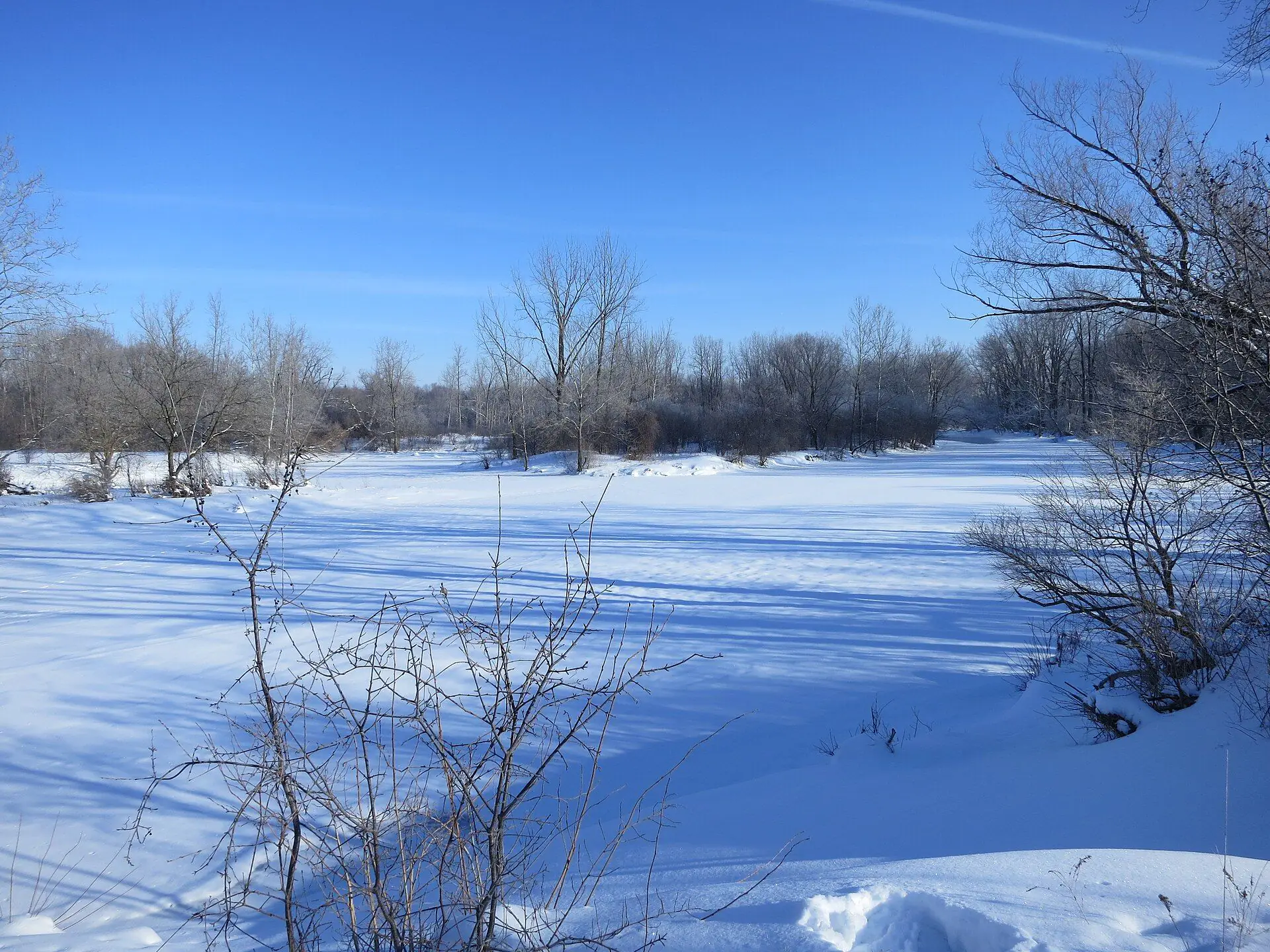 Snow-covered islands on the Thames River on a bright winter day in north-east London